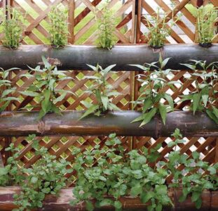 Pros and Cons of Different Gardening Methods